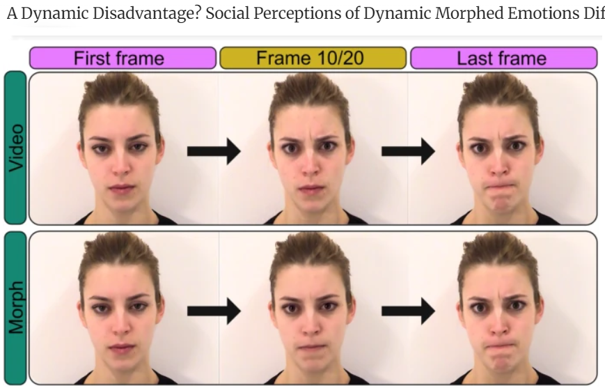 First experiment from my PhD!

Dynamic faces are great, but videos are a nightmare for experimental control, so many of us use dynamic morphs of photos.

Except we showed that if you can’t use videos with natural face motion, you might be better off using static faces 😬