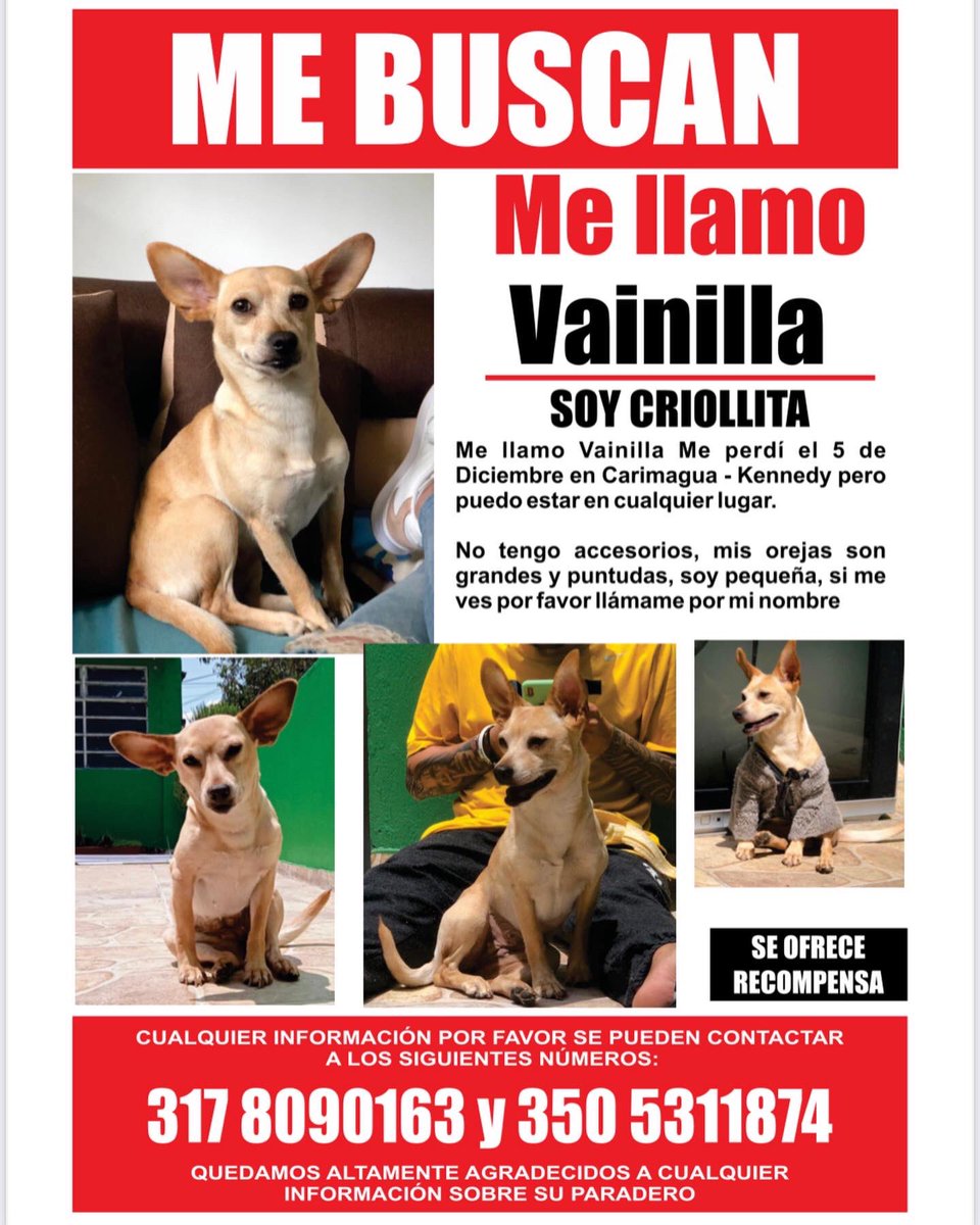 ___Gaaab___'s tweet photo. Ayúdenme a compartir por favor, ya van dos meses y aún no sabemos nada de ella 😢💔. 

@MONYRODRIGUEZOF @AleGiraldoP @andreanimalidad @CoraimaTorresD @piedrahitangela @CamiloJaramill @Citytv https://t.co/Ru9U3VZrks