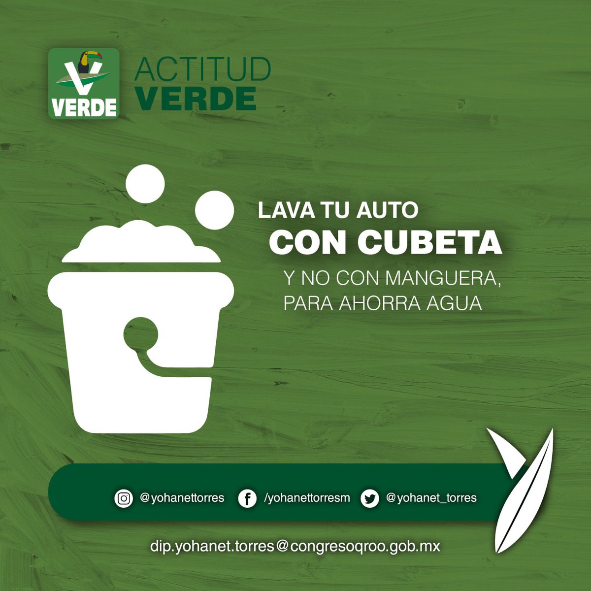 yohanet_torres's tweet image. #TipVerde
@quintanaroopvem