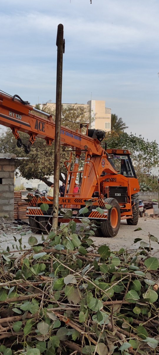 neetsmiss's tweet photo. @krishnabgowda @aranya_kfd
@bbmp 

Sir, ancient tree being cut at Jakkur circle. Just because it's touching some building. This is not done sir. It's just unfair. Pls do something now. https://t.co/VMXbnQopED