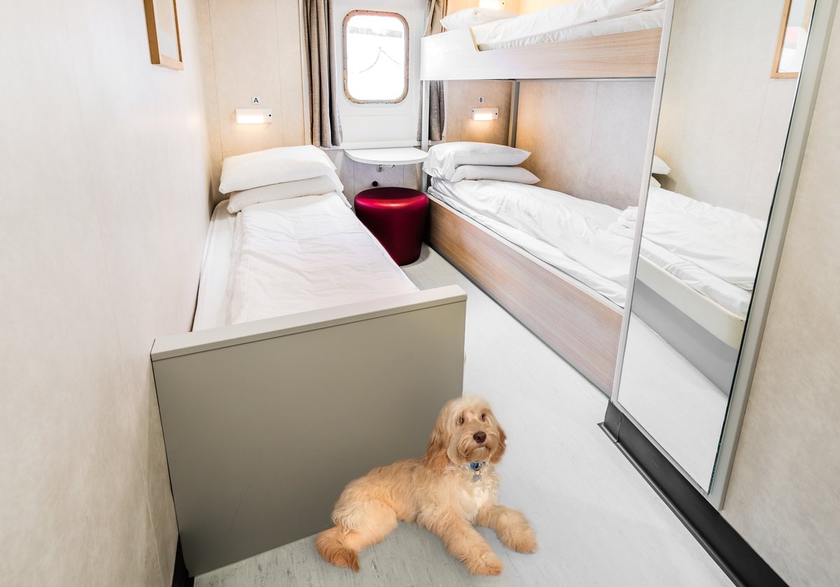 More dogs will be able to travel in comfort on Condor as we are introducing pet cabins onto Clipper this Summer. This follows a ‘paws-up’ from dogs after Islander was the first vessel to feature these cabins 🐶