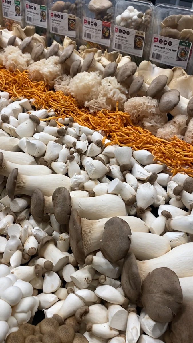 Mitrofresh's tweet photo. DAY 2 at @Fruit_Logistica @MesseBerlin . We welcome you to our stand with live cooking Hall 1.2 booth A50
#mitrofresh #fruitlogistica #tradefair #foodfair #mushrooms #foodsupplier #foodwholesaler #food #fruit #pilze #internationaltrade #agf #import #export #internationalbusiness https://t.co/fzZUnxI097