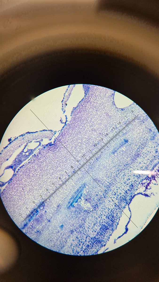 Global Change Ecology Lab tweet media