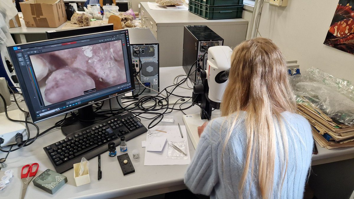 Global Change Ecology Lab tweet media