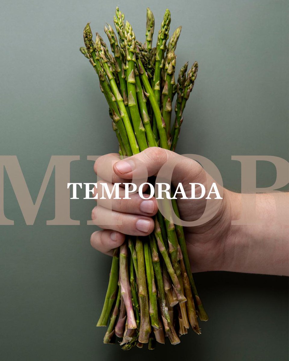 ᴇꜱᴘÁʀʀᴀɢᴏꜱ ᴛʀɪɢᴜᴇʀᴏꜱ
¿Cómo te los preparamos?
1. Revueltos.
2. Con arroz.
Cualquiera de las 2 opciones te gustará!! 📷
.
#ventaladuquesa #medinasidonia #Restaurante #cocinatradicional #cocinakm0 #cocinadetemporada #laduquesamedina