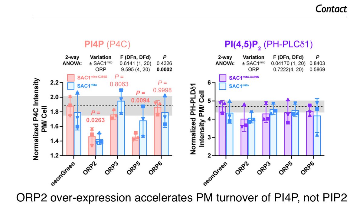 We have a new paper from the @gerryhammond lab (Pittsburgh) who show that a major player in removing PI4P from the plasma membrane is ORP2 NOT at membrane contact sites (along with ORP5). journals.sagepub.com/doi/full/10.11… 'non-constrained transfer mechanism': every paradigm has its day