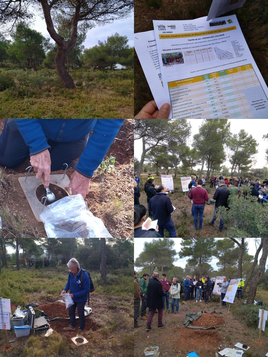 JalSteph_pro's tweet photo. 2°jr #RMQS à Aix-en-Provence sur site #biosoil. 3 ateliers organisés 👍 biologie du #sol #nematodes #collemboles #macrofaune, réservoir utilisable en eau, qualité sols #forestiers av API #ForEval @ONF_Officiel @CRAGE_IRD @InfoEtSols Elisol Montpellier https://t.co/GCkYHHseqr