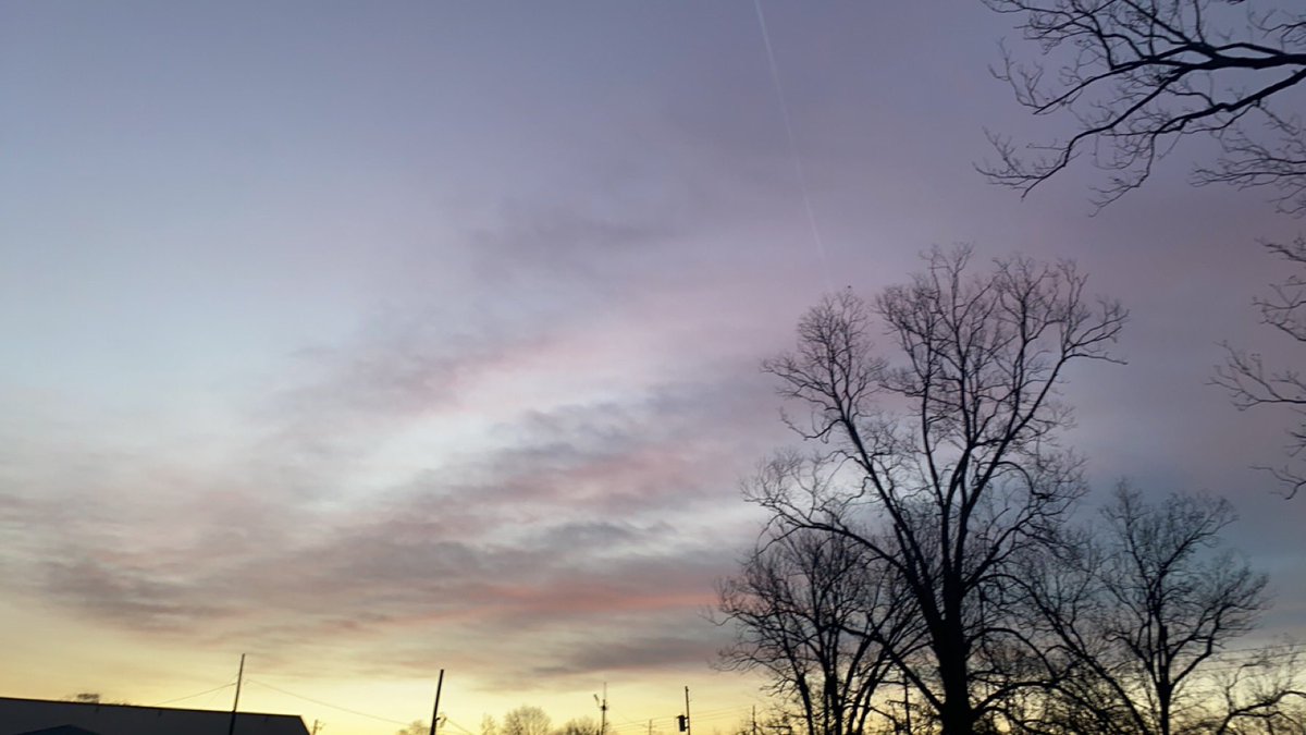 Emily Rose tweet media