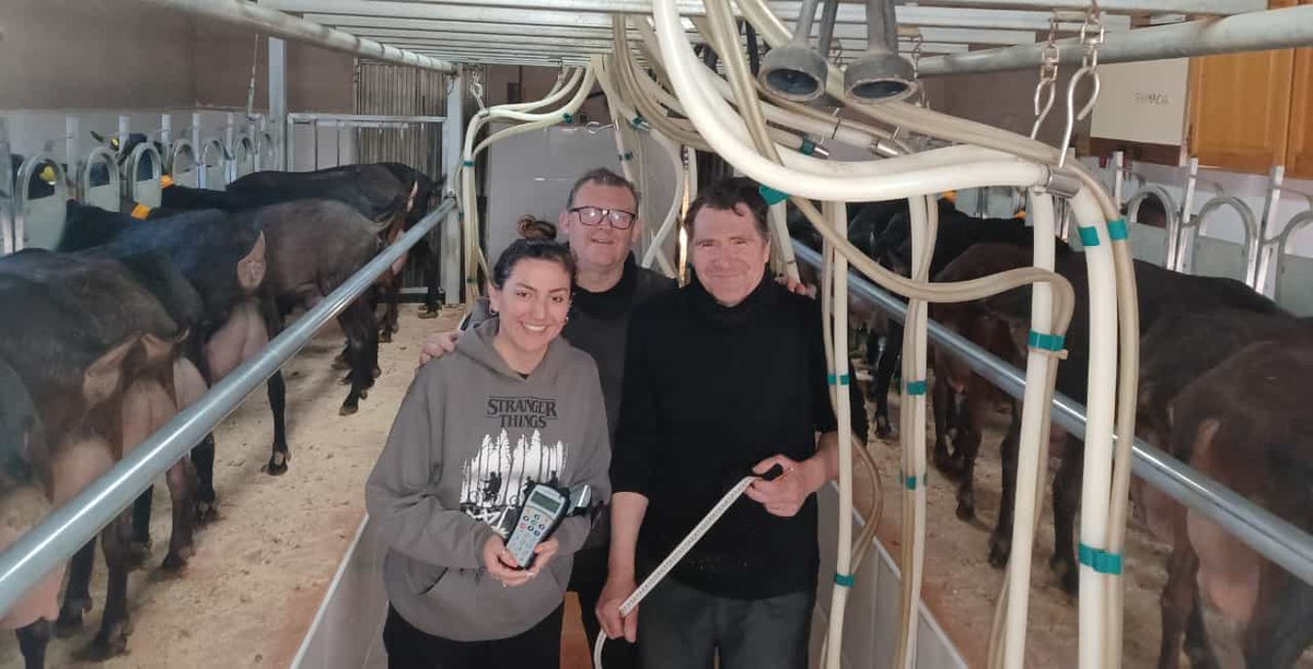 PRODUCCIO_CAPRINA_CV (@soscapri_cv) on Twitter photo Visita a granja caprina AJL en Monovèr (Alacant), per a la recollida de dades de morfologia del projecte SOSCAPRI (AGROALNEXT/2022/062)<a href="/UPV/">Universitat Politècnica de València</a> <a href="/agroalnext_GVA/">AGROALNEXT_GVA PPCC Agroalimentación</a>
#sostenibilidad #economiacircular #ganaderia #leche Visita a granja caprina AJL en Monovèr (Alacant), per a la recollida de dades de morfologia del projecte SOSCAPRI (AGROALNEXT/2022/062)<a href="/UPV/">Universitat Politècnica de València</a> <a href="/agroalnext_GVA/">AGROALNEXT_GVA PPCC Agroalimentación</a>
#sostenibilidad #economiacircular #ganaderia #leche