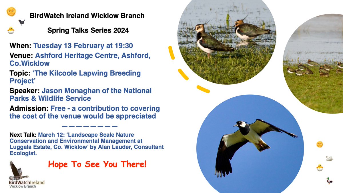 Conservation Ranger, Jason Monaghan, will present 'The Cooldross Breeding Wader Project' in which he will give an update on the success of the work the @NPWSIreland are doing at Kilcoole Marshes to help breeding Lapwings: Tue 13th, Ashford Heritage Centre, at 7.30pm @BirdWatchIE