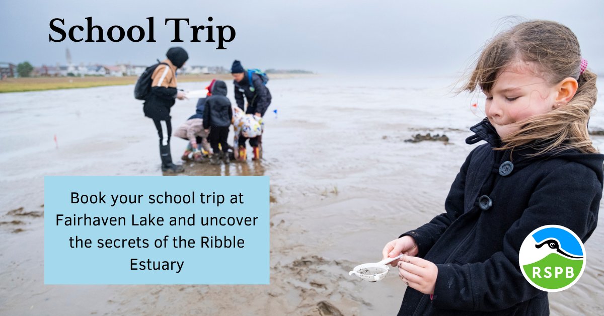RSPB Ribble Estuary (@rspb_ribble) on Twitter photo Secure your class visit and discover the wonderous creatures of the Ribble Estuary
bit.ly/3HOtL2a
<a href="/FairhavenHlf/">Fairhaven Marine Lake and Gardens</a> <a href="/fairhavenfriend/">Friends of Fairhaven Lake</a> @EHUPrimarySAMs <a href="/UKSchoolTrips/">Clare's UK School Trips, Workshops Offers & Ideas</a> <a href="/LythamLifeStyle/">Lytham & St Annes (love where you live & visit)</a> #TagATeacher #OutdoorLearning <a href="/CLOtC/">Council for Learning Outside the Classroom</a> Secure your class visit and discover the wonderous creatures of the Ribble Estuary
bit.ly/3HOtL2a
<a href="/FairhavenHlf/">Fairhaven Marine Lake and Gardens</a> <a href="/fairhavenfriend/">Friends of Fairhaven Lake</a> @EHUPrimarySAMs <a href="/UKSchoolTrips/">Clare's UK School Trips, Workshops Offers & Ideas</a> <a href="/LythamLifeStyle/">Lytham & St Annes (love where you live & visit)</a> #TagATeacher #OutdoorLearning <a href="/CLOtC/">Council for Learning Outside the Classroom</a>