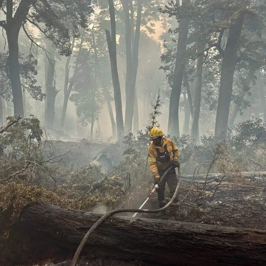 Alberto Weretilneck tweet media