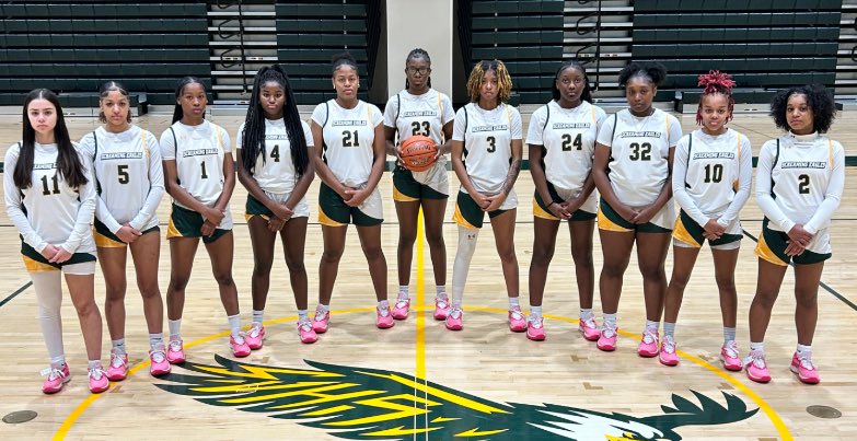 DrHasson2's tweet photo. Happy Tuesday, everyone! Iβm participating in the #LeadEmUpChallenge this week. 7 days, 7 people who have a positive impact/influence on my life.
Missed day 3 because Wednesdays are crazy.
Day 4: basketball coach, working parents, and community leader @officiallyali https://t.co/5z4jVy8yTm