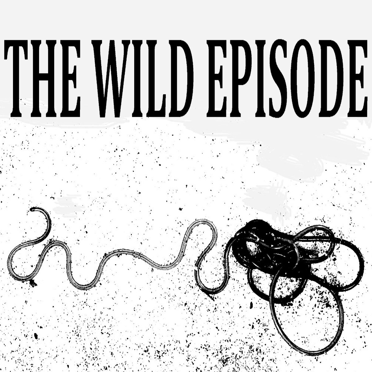 What connects feasting Japanese fish, a swimming pool in southern France and Alexander the Great’s encounter with the Gordian Knot?

Paragordius tricuspidatus : The Phantom Thread

thewildepisode.com/2023/11/30/par…