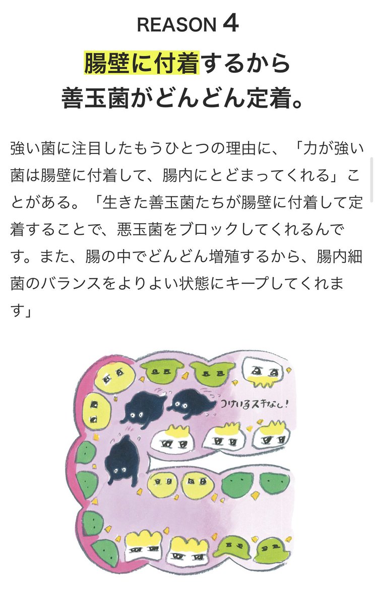 M_708's tweet photo. ニュートリライトのプロバイオティクスがスゴイ理由part2

▼詳しくはananのウェブサイトへ▼

https://t.co/quyC0pW8CO

#腸活 #プロバイオティクス #乳酸菌
 #ビフィズス菌 #ファイバー #食物繊維
#アラフォー健康 #アラフォー美容 #ナイスミドルの作り方 https://t.co/0TZlZLrCGT
