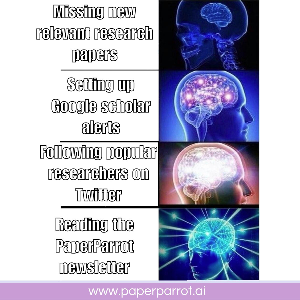 We hope your week is going just as great as ours! 😊

This week has been bustling with lots of great new research, but luckily we're here to ensure you don't miss a thing! 🌟

We're thrilled to announce recent enhancements to our newsletter! With improved visuals 🎨 in the