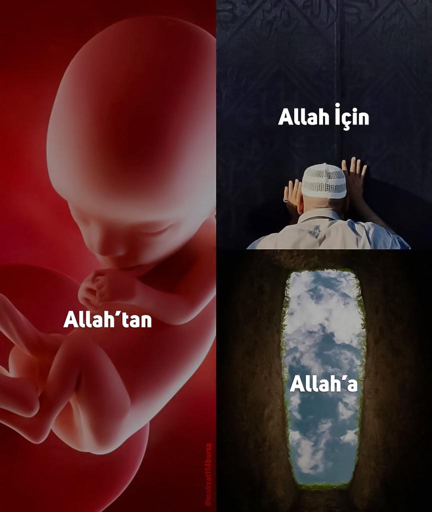 fatmazzzehraa's tweet photo. Allah’tan geldik, Allah’a döneceğiz. https://t.co/puiOrQxy91