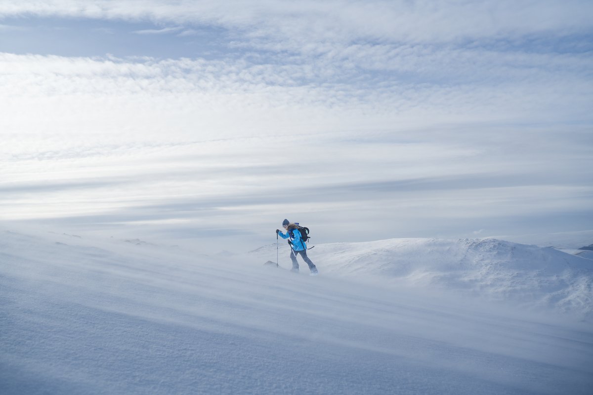 Wandering: Beautiful new splitboarding film from <a href="/NeonStash/">neonstash</a> - check it out!

youtube.com/watch?v=DQS30s…