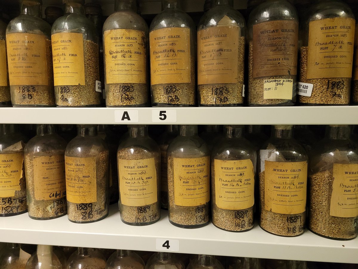 SenusTech's tweet photo. The scientific heritage of the institute, founded by John Lawes, is huge, with the #RothC model, Fisher's #Anova statistical test and SuperPhosphate fertiliser all originating here. https://t.co/5mFbUZcGTc
#carbon #mrv #Broadbalk https://t.co/9ph5hrxovx