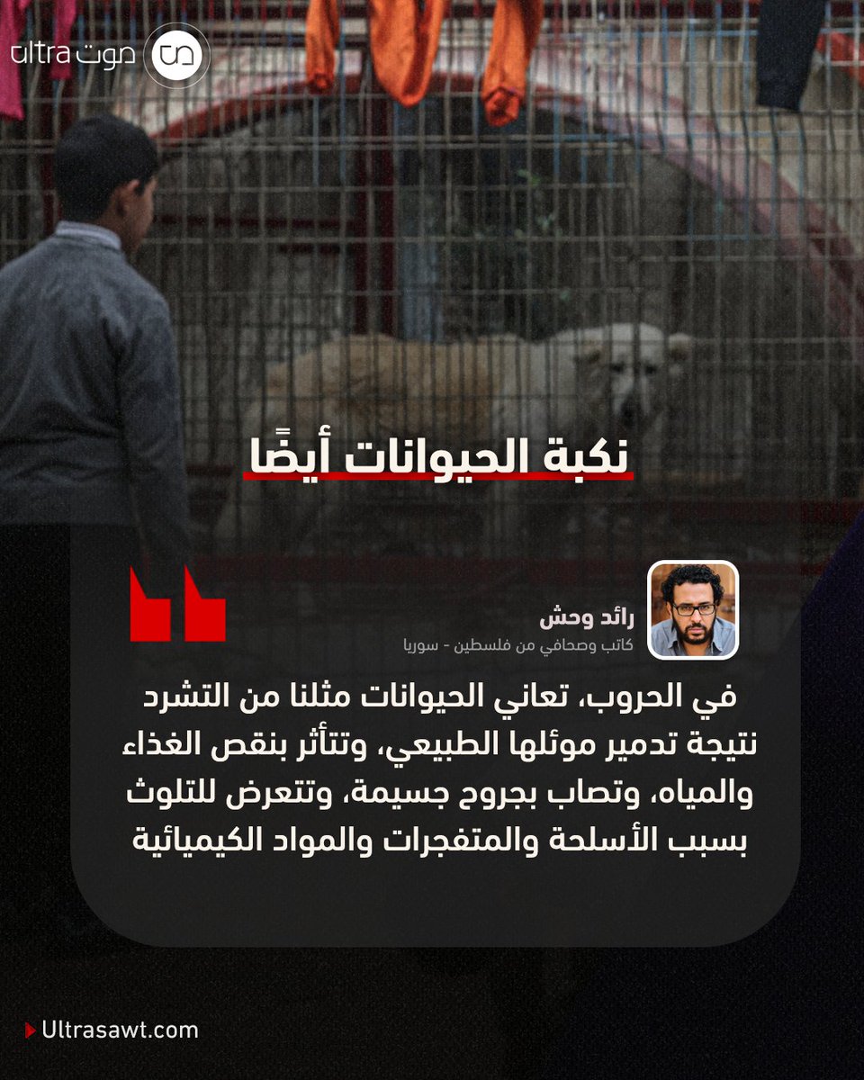 UltraSawt's tweet photo. "في الحرب على #غزة، حيث يحاول الأهالي البقاء والصمود، فإنّ الحيوانات تفعل ذلك أيضًا، لأن الحرب غير المتكافئة لا تستهدف فقط البشر بل الكائنات والبيئة بأسرها".

مقال @raedwahash: 
https://t.co/zzg6g7xlHm https://t.co/P7pS06V5Zp