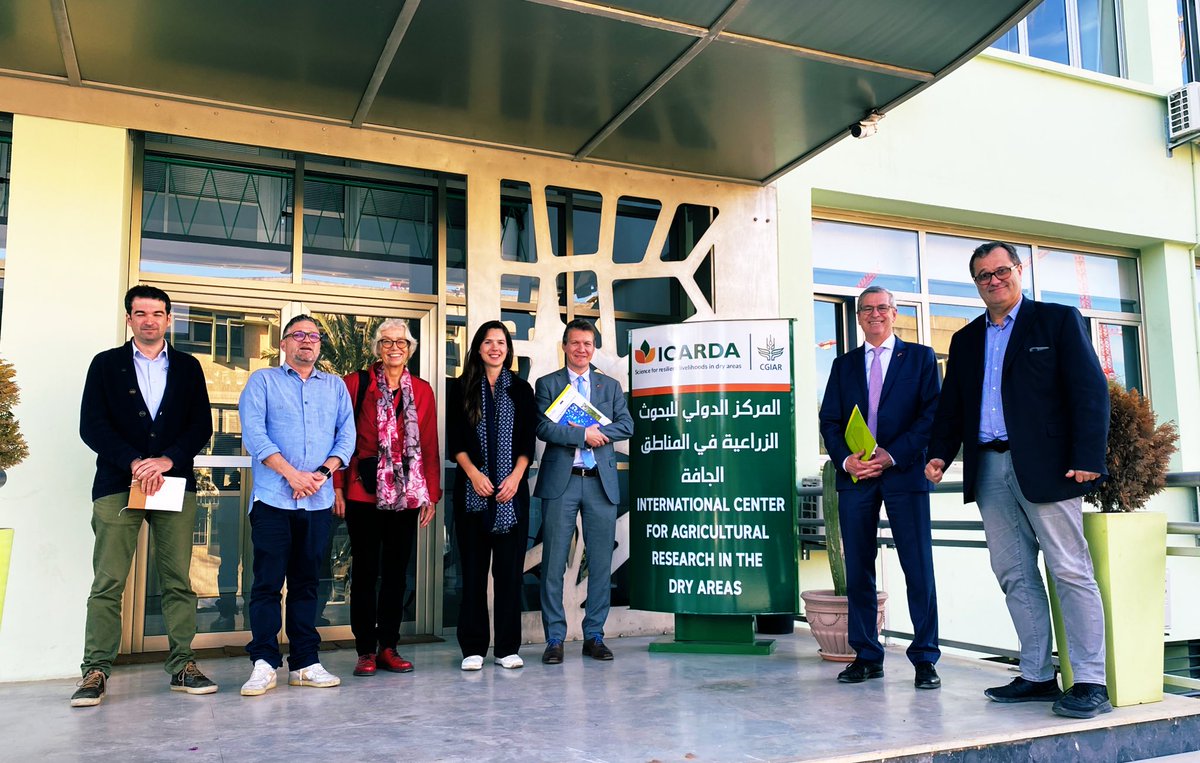 Anna Backhaus tweet media