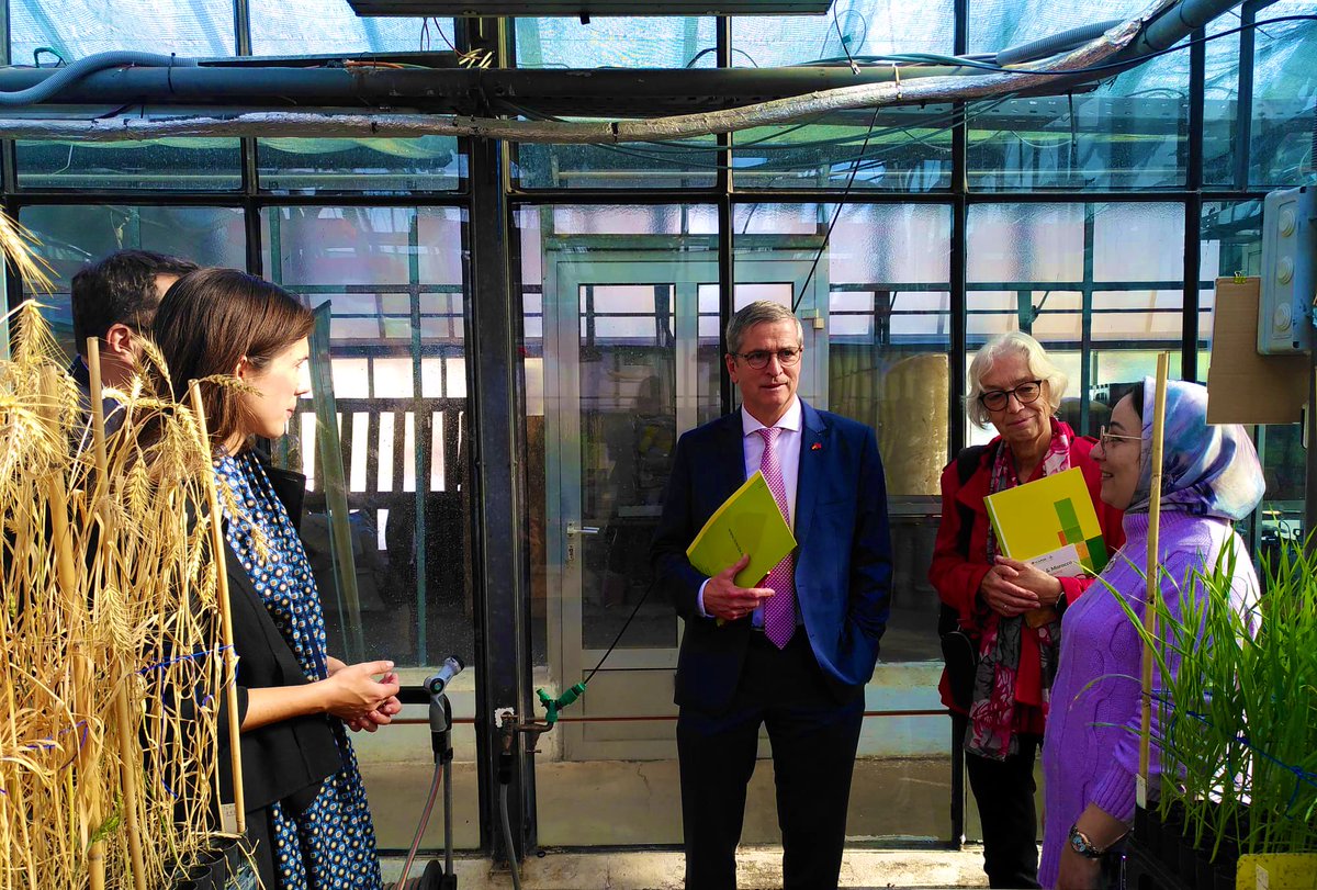 Anna Backhaus tweet media