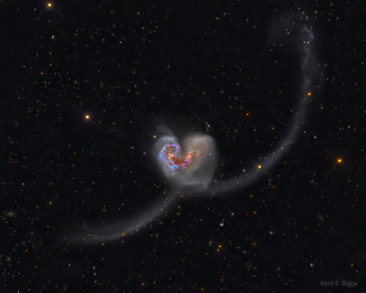 chayito09's tweet image. ¿Estas dos galaxias se atraen entre si? Sí, gravitacionalmente, y el resultado aparece como un enorme corazón icónico, al menos por ahora. En la foto se muestra el par de galaxias NGC 4038 y NGC 4039, conocidas como Galaxias Antenas. Debido a que están a sólo 60 millones de
1/…