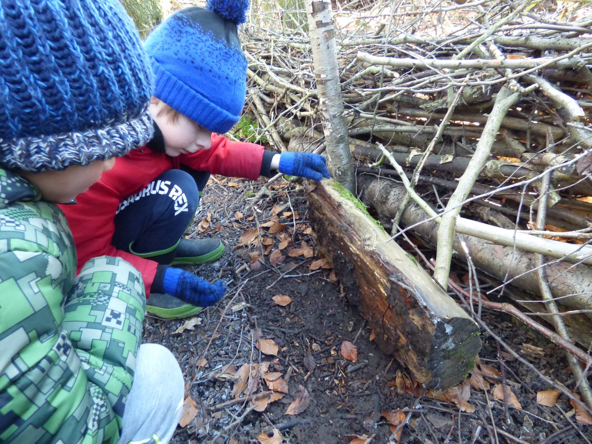 We have availability in February and March for school visits. Choose from a range of activity days for Key Stage 1 & 2 classes. tcv.org.uk/skeltongrange/… Call us on 0113 2430815 or email skelton@tcv.org.uk #JoinInFeelGood #outdoorlearning