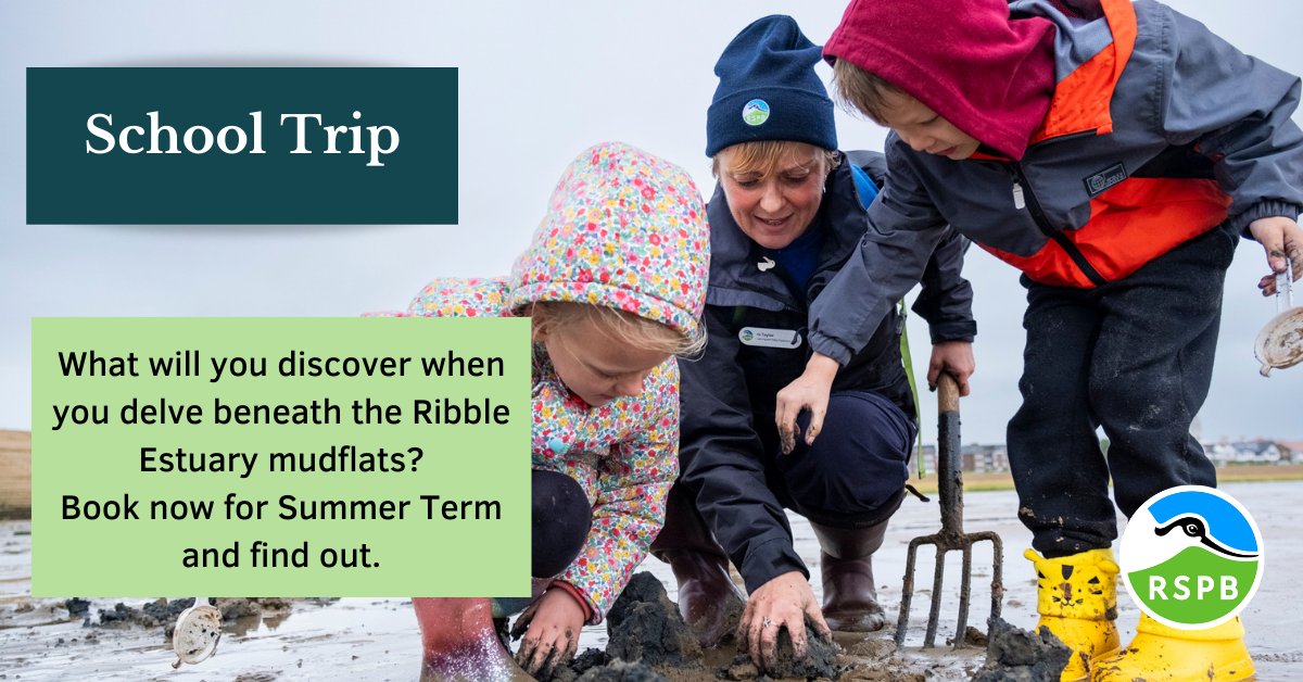 Down by the seaside discover where the crabs scuttle and the ragworms wriggle. Book your class a trip of wonder and discovery bit.ly/3HOtL2a @FairhavenHlf @fairhavenfriend @StAnnesTweetUp @The_Gazette @ashtoncsc #STEMeducation #OutdoorAdventures