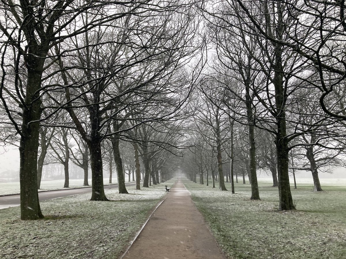 I was working @TempleNewsam @LeedsMuseums this morning. Snowier on the walk back to up to the main road ❄️