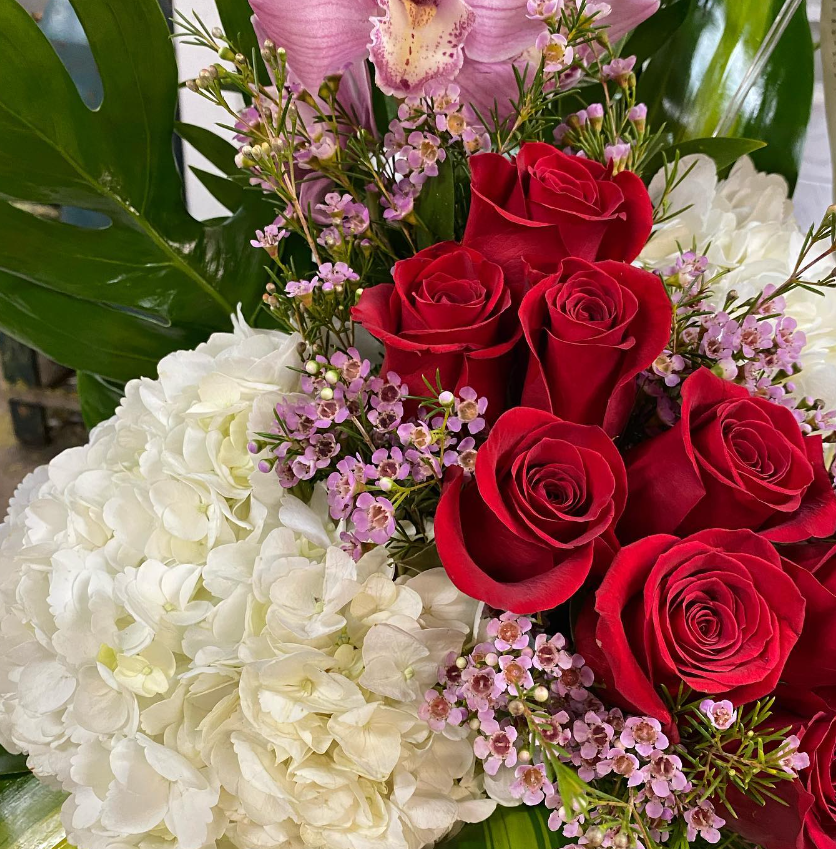 RoseHarrisRE's tweet photo. Discover The 8 Most Luxurious Flower Shops In Miami from @oceandrivemag ➡️ https://t.co/1m498D5khq

#flowershopsmiami #miamiflorists #valentinesdayflowers #valentinesdaygifts #flowers #miami #miamibeach #miamifl #florida #miamirealestate https://t.co/5dCz7WWqLl