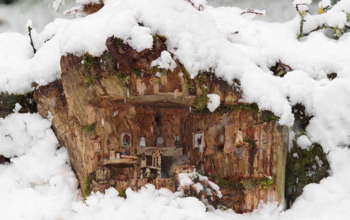simon_dell_tog's tweet photo. snowing in the mouse village . #mousetown #mousevillage #mousegarden #mousecity #mouseland #magicalmice #georgethemouse #GEORGE https://t.co/z3sFk49hq2