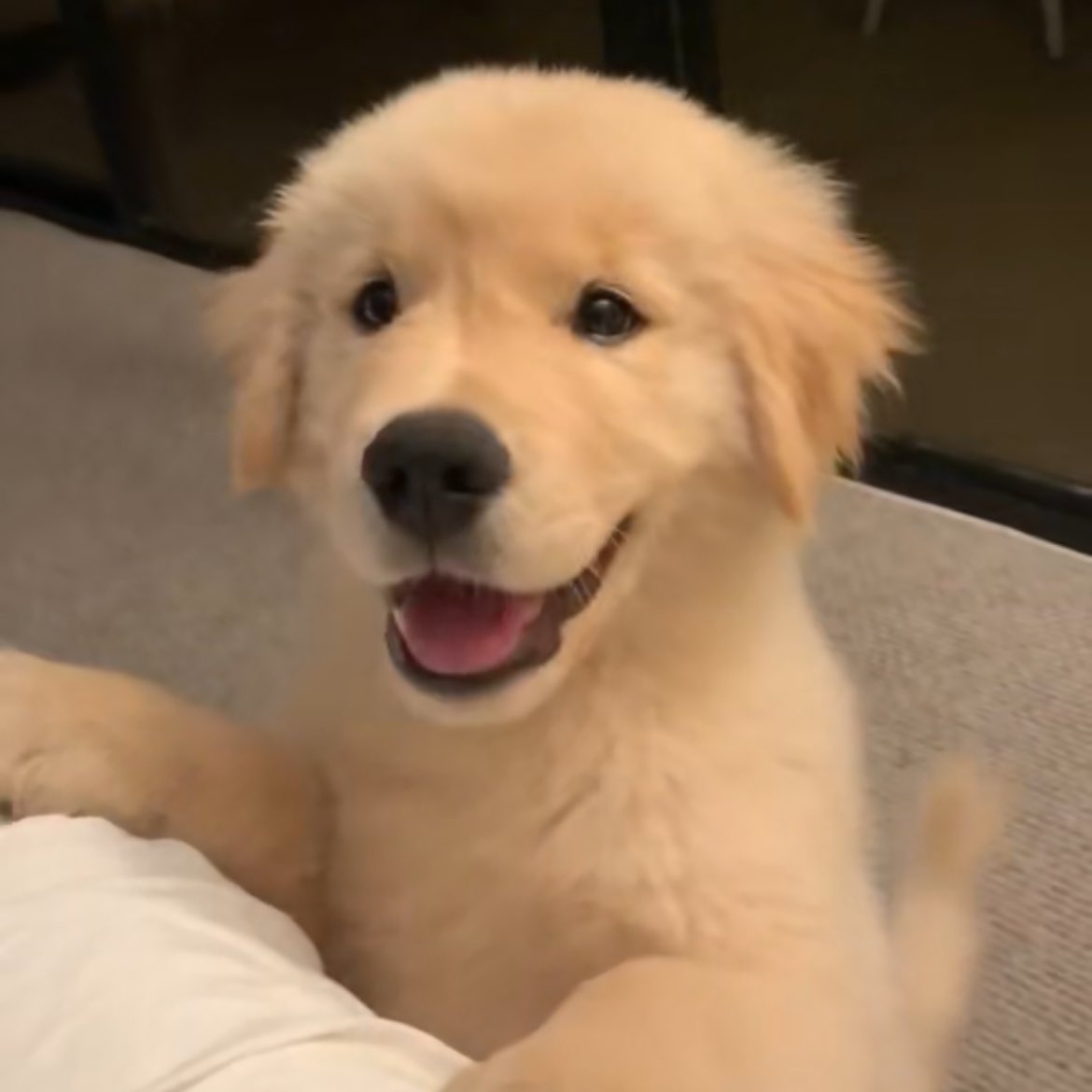 : เป็นแค่ม๋าเด่กจะมาเข้าใจความรักได้ไง
:  ม๋าเด่กก็รักเปนมั้ยพี่ ม๋าเด่กก็มีหัวใจ