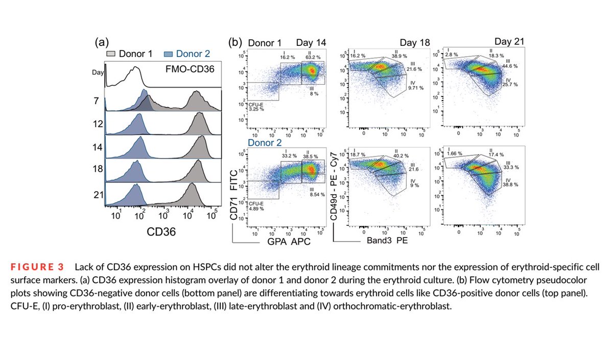 CzerwinsMarcin's tweet photo. Interesting paper explains why CD36 is a blood group antigen of clinical importance https://t.co/mqumsc3TB6

#blood_group https://t.co/CdZBHBUf62
