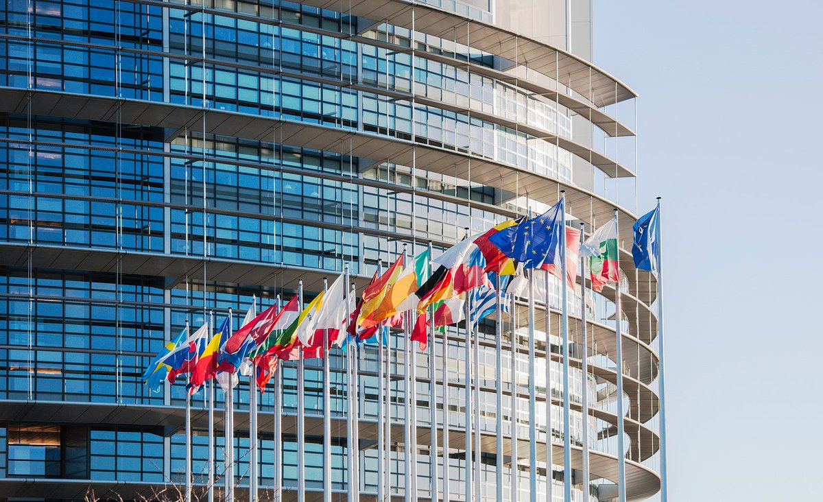 ADFIntl's tweet photo. .@Europarl_EN "strongly condemns" Christmas Eve massacre of Christians in #Nigeria, but blames climate change in an #UrgencyResolution adopted today https://t.co/PdNEgr1M5K https://t.co/cANk8Hh27G