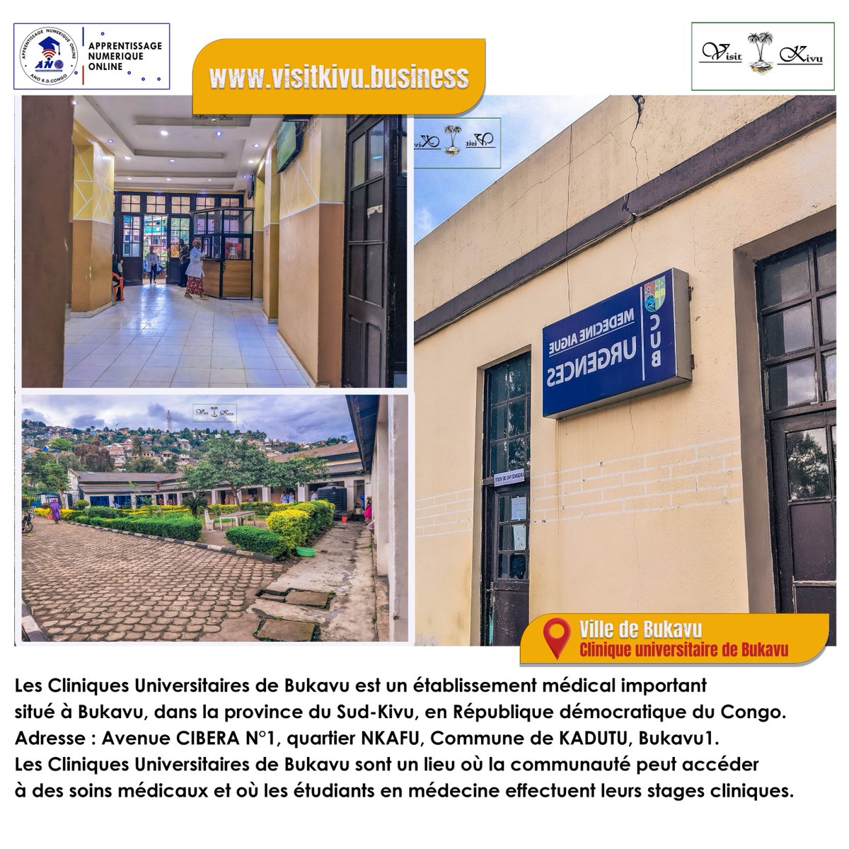 VISIT KIVU DRC tweet media