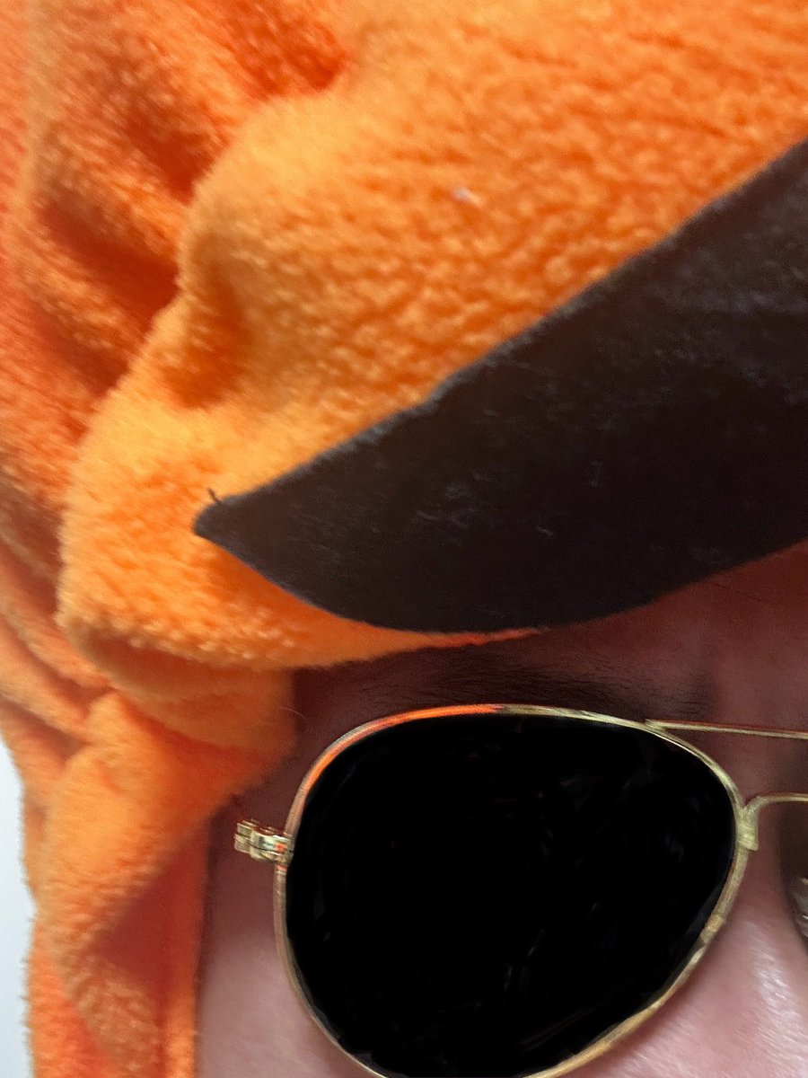 happyfu_ta_DG's tweet photo. 【Happy風太の生っていいとも！】

いよいよ今週の日曜日ですね。

ということで、
当日お会い致しましょう。

#かぼちゃ
#Happyだんばら
#俄然風太
#生っていいとも https://t.co/Oh69PrkyfS
