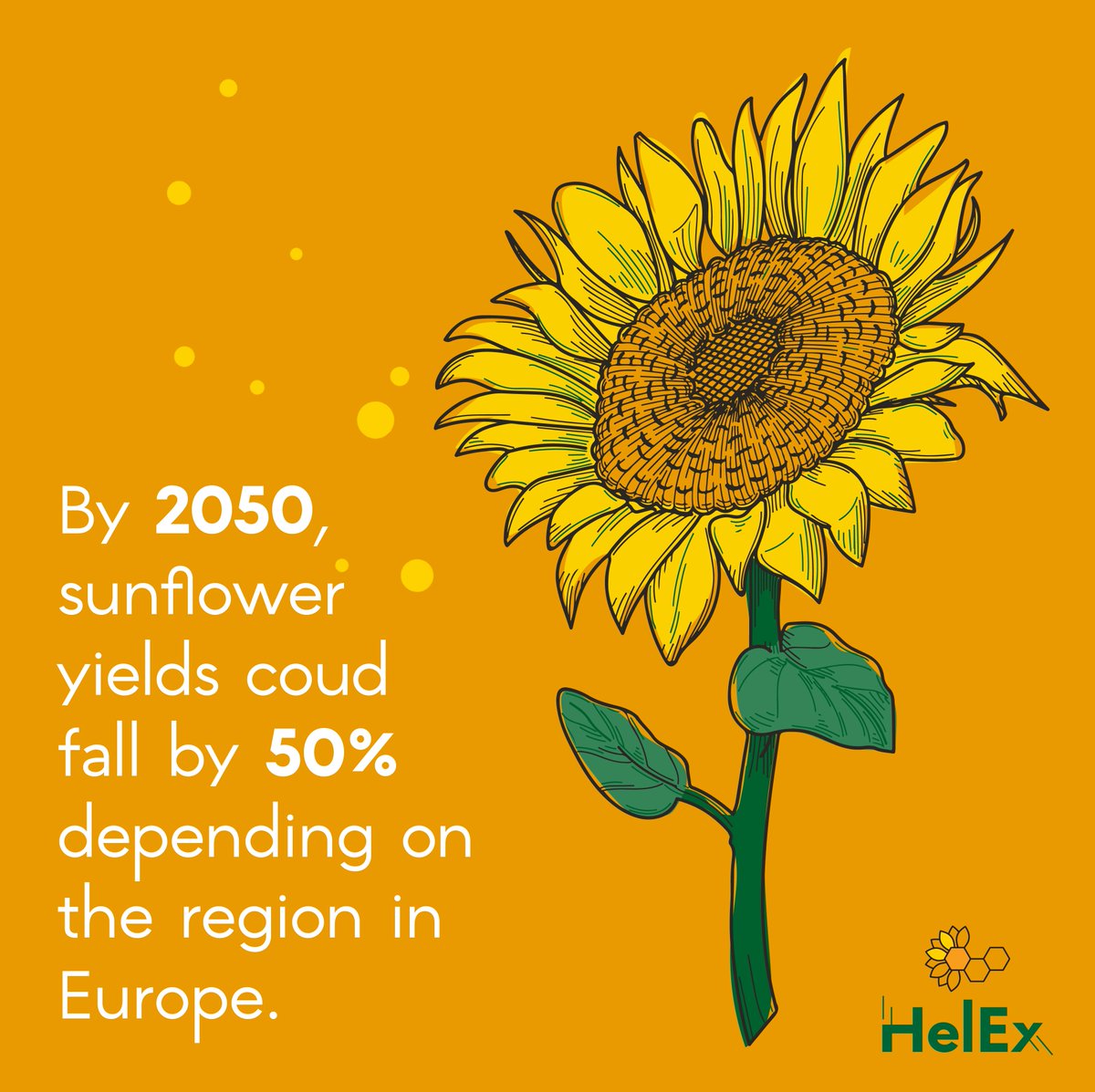 HelEx Project tweet media