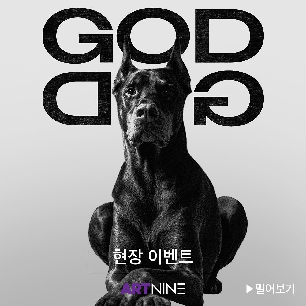 #아트나인 #도그맨 #아트나인현장이벤트 "신은 불행이 있는 곳마다, 개를 보낸다" <도그맨> 개봉 기념! 설날 선물 두 배 줄개🐶 DOG좋은 경품이 당신을...