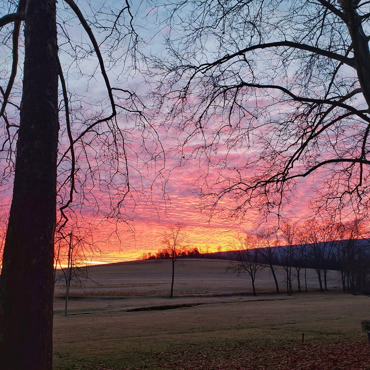 Good morning ☕☕ 📸 frozen earth fire sky Sunrises like this are the miracles that make you slow your pace every single time ❤🧡💛💜 ✌&❤