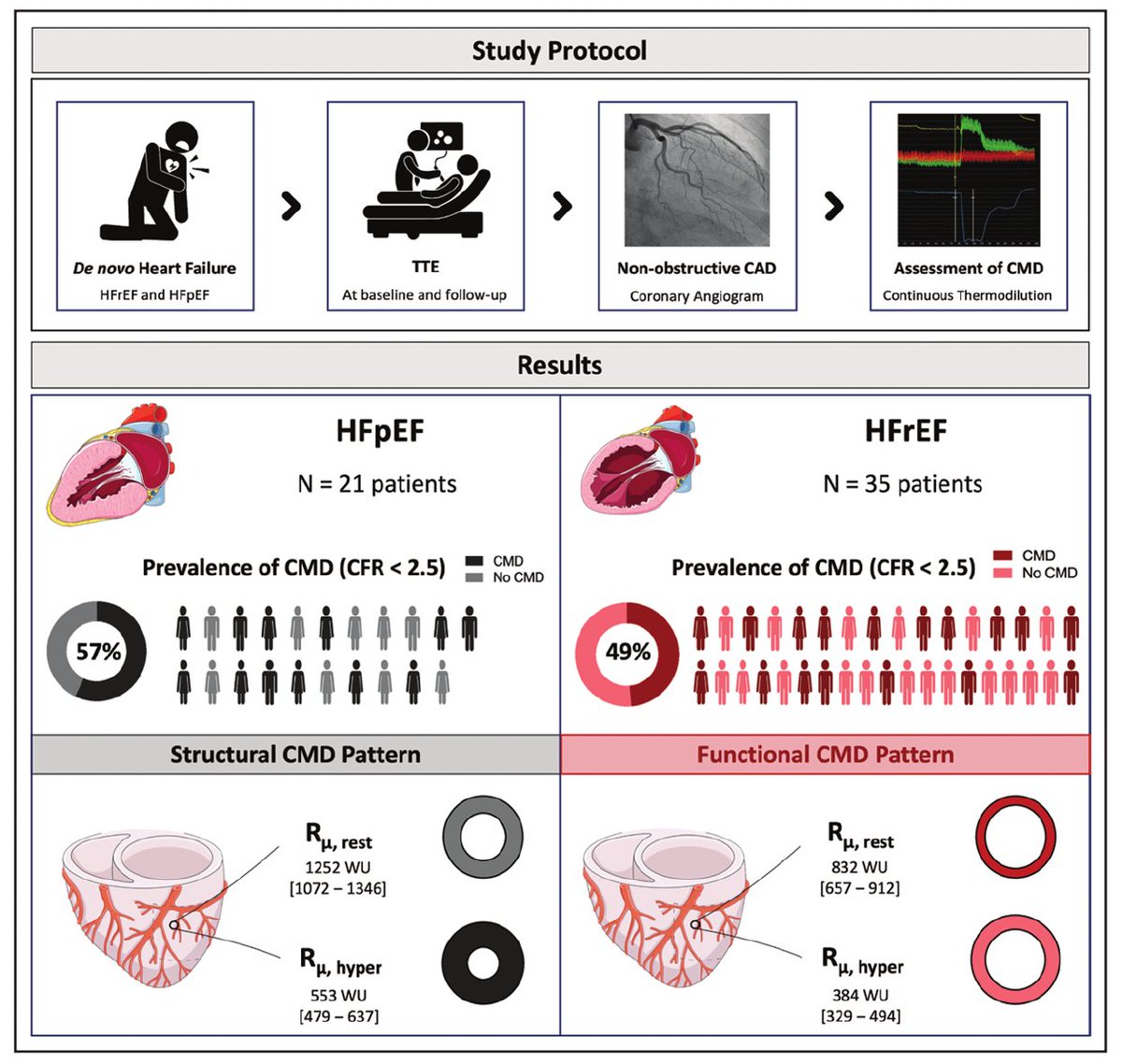 Pasquale Paolisso (@p_paolisso) on Twitter photo Continuous thermodilution in #HF shows:
📊Similar prevalence of #CMD in HFpEF and HFrEF.
🎯Characterization of distinct CMD patterns:
⚪️Structural CMD in HFpEF
🔴Functional CMD in HFrEF ->associated with ⬇️LV reverse remodeling @ FU
<a href="/CircAHA/">Circulation</a> <a href="/escardio/">European Society of Cardiology</a> ahajournals.org/doi/10.1161/CI… Continuous thermodilution in #HF shows:
📊Similar prevalence of #CMD in HFpEF and HFrEF.
🎯Characterization of distinct CMD patterns:
⚪️Structural CMD in HFpEF
🔴Functional CMD in HFrEF ->associated with ⬇️LV reverse remodeling @ FU
<a href="/CircAHA/">Circulation</a> <a href="/escardio/">European Society of Cardiology</a> ahajournals.org/doi/10.1161/CI…