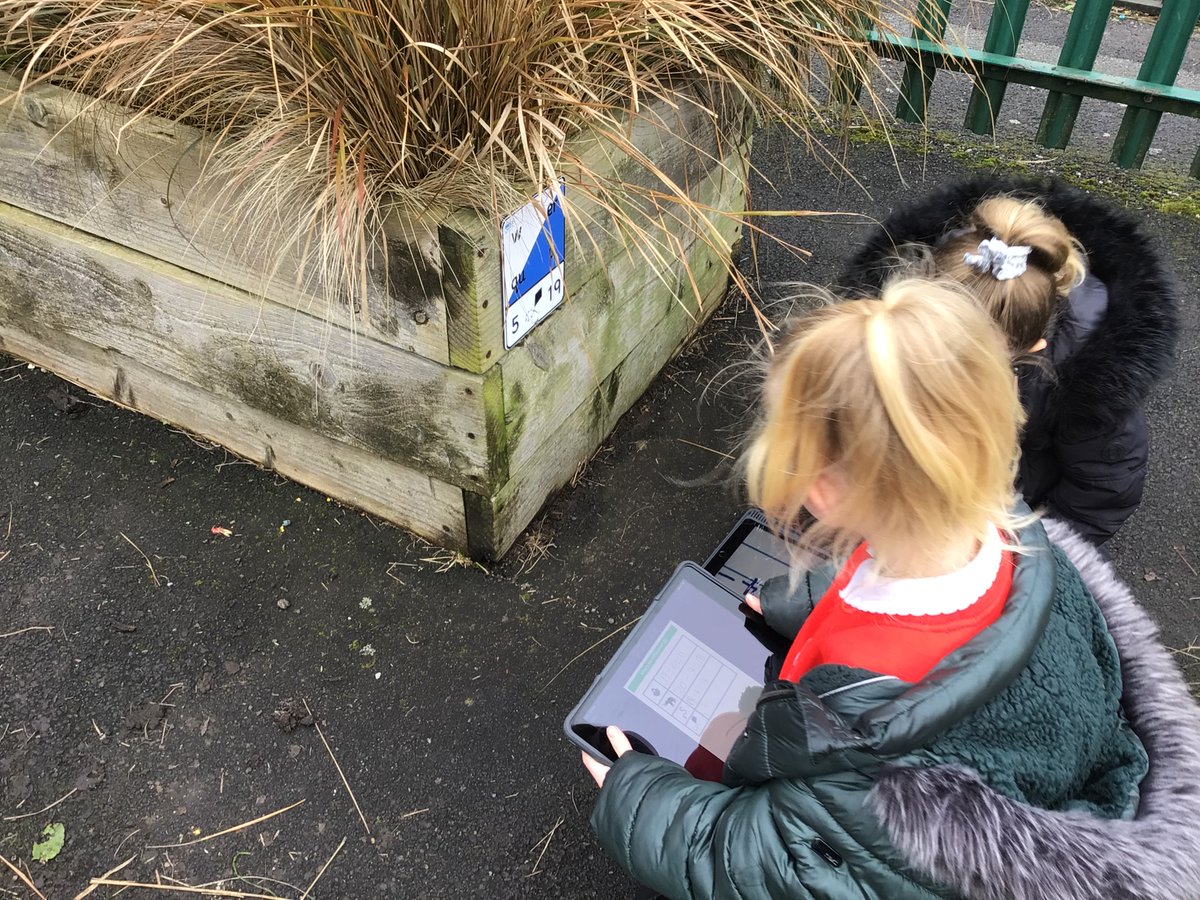 Oasis Limeside tweet media