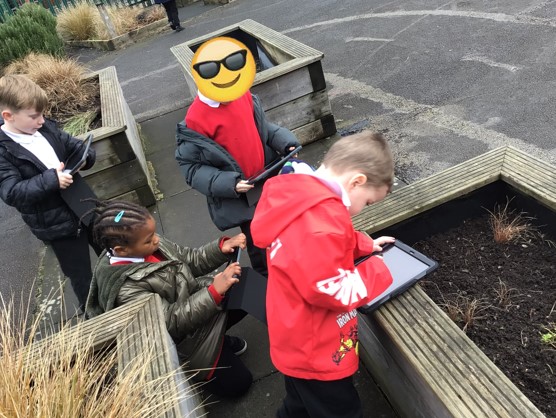 Oasis Limeside tweet media