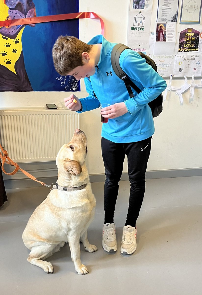 Scoil Dara Kilcock tweet media