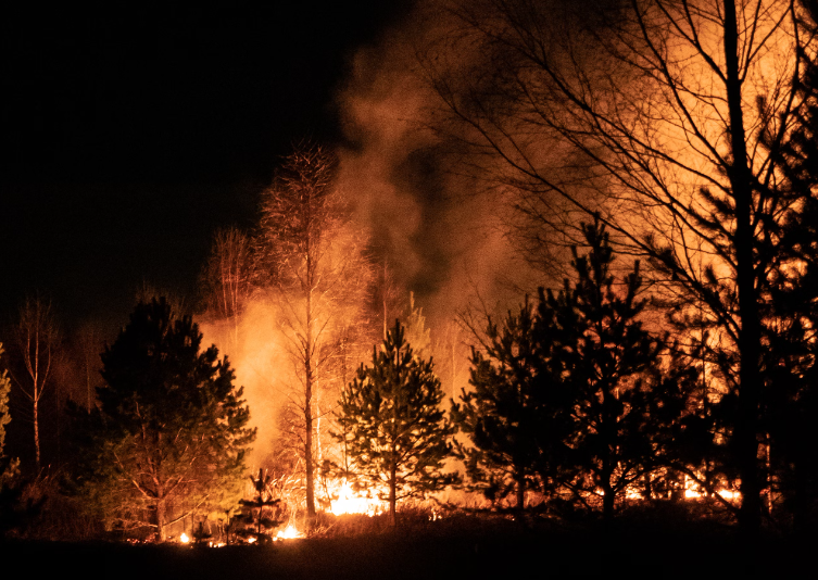 🔥PhD position alert!🌍 Are you interested in studying fire risk and its drivers in Europe under climate change via large datasets? Join our new research group on compound climate extremes! Details & applications👇 recruitingapp-5128.de.umantis.com/Vacancies/2895… @Compound_Event @UFZ_de #fire #climate