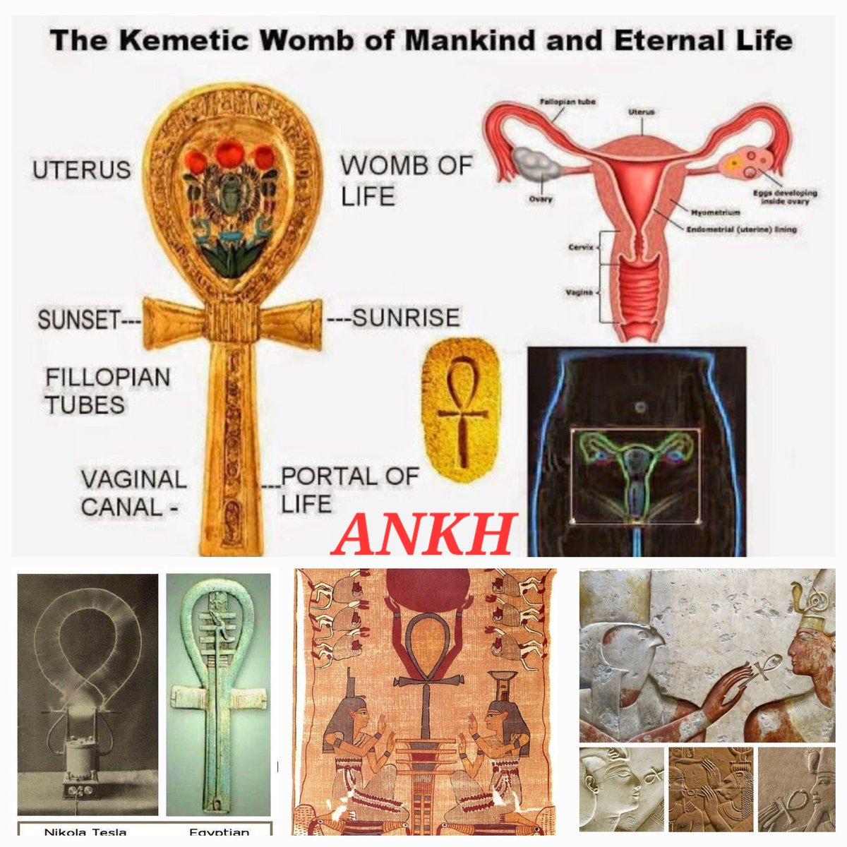 The ANKH is commonly referred to as the Egyptian SYMBOL OF LIFE. It depicts  the 3 symbolic principles of CREATION. It's related to the 'life giving'  properties of AIR (aether magnetism) and, image size:1200x1200