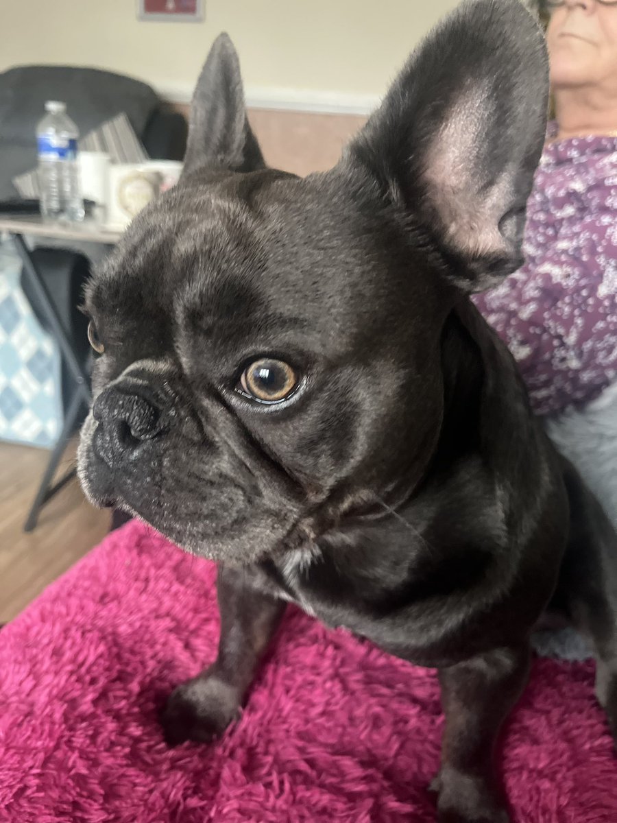My bezzie for the day ❤️