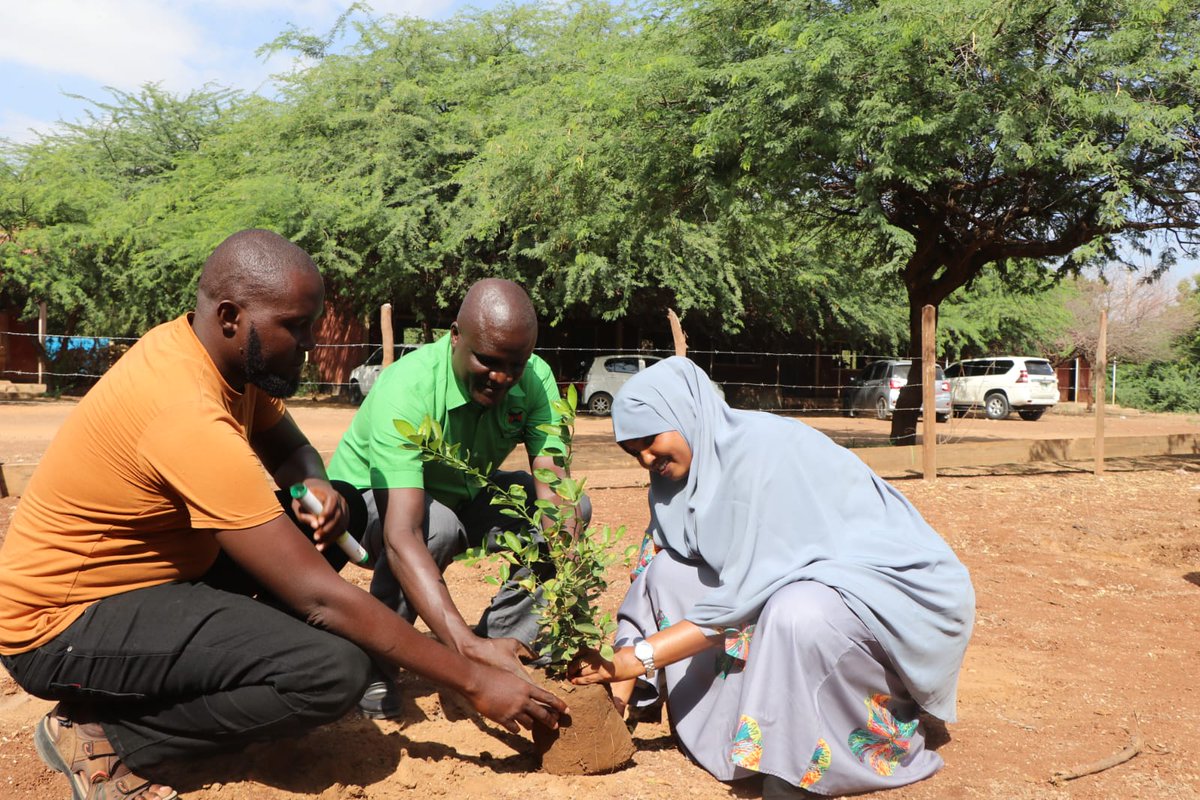 Involving communities in tree planting  foster a sense of ownership and encourage sustainable practices for the long-term preservation of environment.
#addressclimatecrisis #ClimateActionNow 
@AfClimateAction @Wanavijiji_sdi @WeAreVCA @cgmovement1