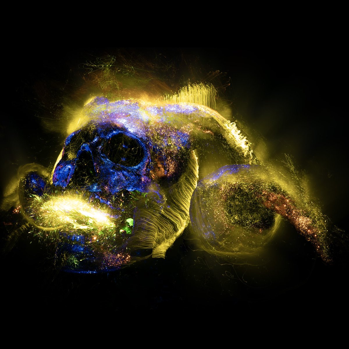 _S0LV3R's tweet image. Despite what your brain is trying to tell you. This is NOT AI, NOT photoshop, NOT rendered.

It is 1 unedited photo

💡