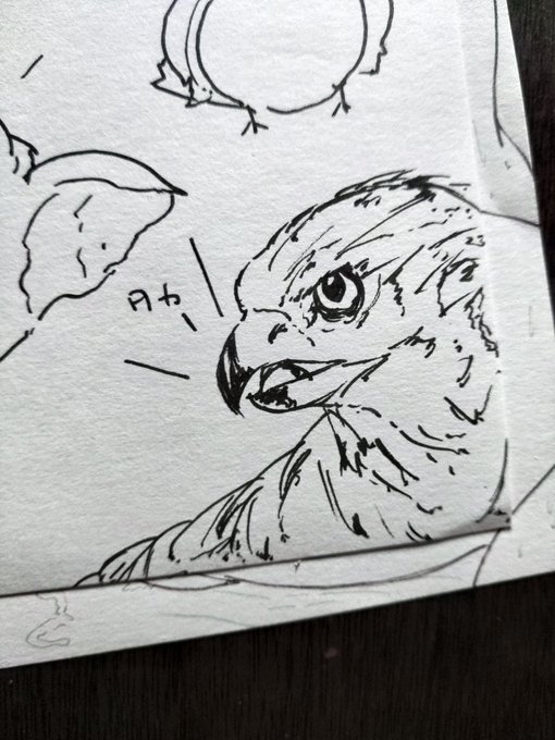 こんな絵も描けるのよᕙ( ˙꒳​˙  )ᕗ 